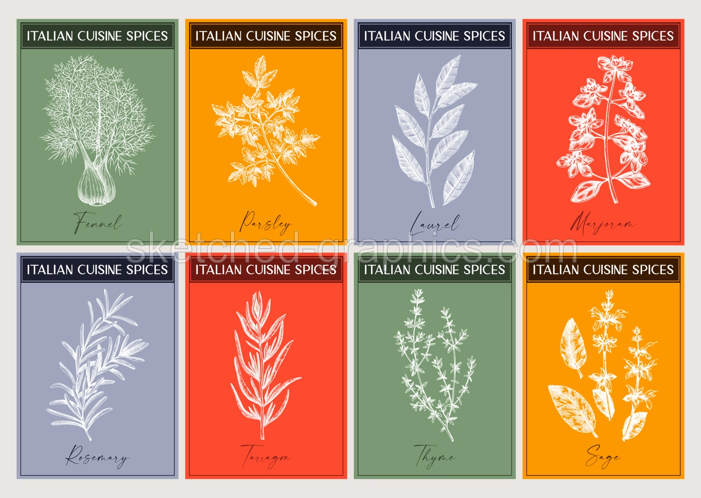 Italian spice labels set. Basil, mint, rosemary, parsley, sage, bay leaf, fennel  sketches. Herbs and spices hand-drawn vectot illustration. Modern print design. NOT AI generated Illustration